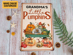Load image into Gallery viewer, Custom Grandma's Little Pumpkins Metal Sign, Family Pumpkin Garden Sign, Autumn Thanksgiving Gift For Grandma, Gardener Gift, Garden Decor